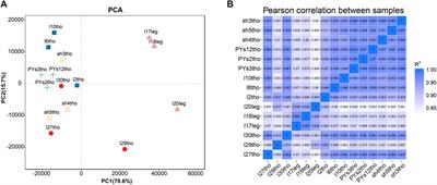 Transcriptome and co-expression network analysis reveals the molecular mechanism of inosine monophosphate-specific deposition in chicken muscle